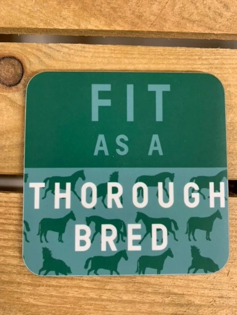 Gubblecote Fit as a Thoroughbred Coaster-1